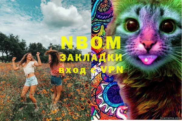 МДПВ Алзамай