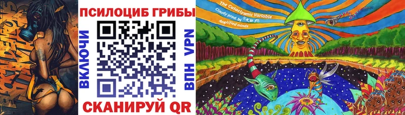 Псилоцибиновые грибы прущие грибы Кизел