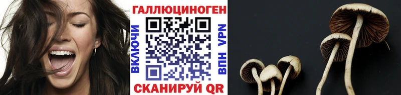 Галлюциногенные грибы Magic Shrooms  дарнет шоп  blacksprut зеркало  Кизел 